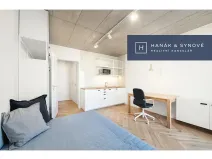 Pronájem bytu 1+kk, Brno, Chaloupkova, 23 m2