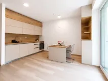 Pronájem bytu 1+kk, Mladá Boleslav, Nad Červenkou, 27 m2