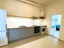 Pronájem bytu 1+1, Brno, Porhajmova, 42 m2