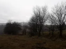 Prodej pole, Teplice nad Metují - Dolní Teplice, 25028 m2