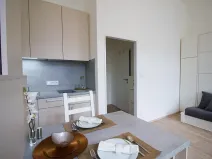 Pronájem bytu 1+kk, Brno, Koliště, 26 m2