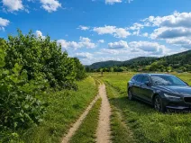 Prodej zahrady, Všenory, 174 m2
