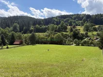 Prodej pozemku pro bydlení, Nový Hrozenkov, 8167 m2