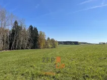 Prodej pozemku pro bydlení, Rožmitál na Šumavě, 7156 m2