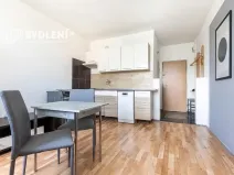 Prodej bytu 1+1, Louny, Březinova, 36 m2