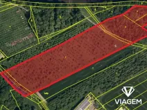 Prodej podílu sadu/vinice, Valašské Meziříčí, 5309 m2