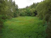 Prodej pole, Chýnov - Dobronice u Chýnova, 22334 m2