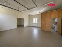 Pronájem výrobních prostor, Brno - Brněnské Ivanovice, Kaštanová, 596 m2