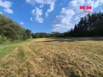 Prodej louky, Hoslovice, 33748 m2