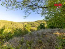 Prodej lesa, Lomnice, 7450 m2