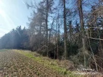 Prodej lesa, Hořepník, 21060 m2