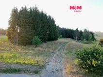 Prodej zahrady, Bělá nad Radbuzou, 6001 m2