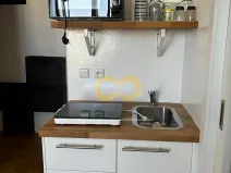 Pronájem bytu 1+kk, Praha - Žižkov, Přemyslovská, 26 m2