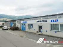 Pronájem skladu, Zlín, Cecilka, 540 m2