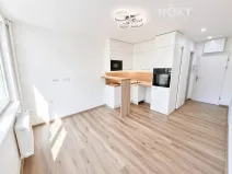Pronájem bytu 1+kk, České Budějovice, Plzeňská, 19 m2