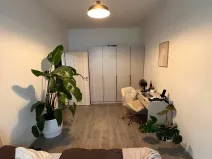 Pronájem bytu 2+kk, Praha - Žižkov, Hartigova, 50 m2