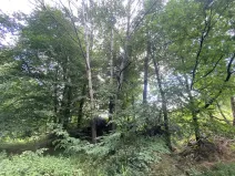 Prodej pozemku, Olbramice, 708 m2