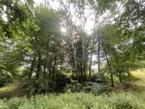 Prodej pozemku, Olbramice, 708 m2
