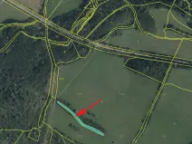Prodej lesa, Mašťov, 1385 m2