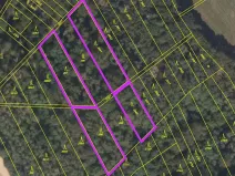 Prodej lesa, Držovice, 4332 m2