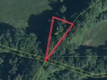 Prodej lesa, Stružnice, 590 m2