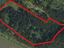 Prodej lesa, Brtnice, 21827 m2