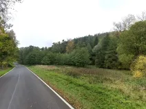 Prodej lesa, Tuchořice, 13223 m2