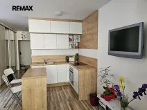 Pronájem bytu 1+kk, Český Těšín, Tovární, 40 m2