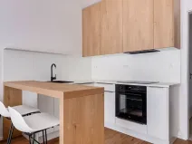 Pronájem bytu 1+kk, Praha - Karlín, Pernerova, 30 m2