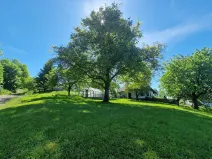 Prodej pozemku pro bydlení, Loučky, 773 m2