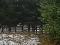 Dražba louky, Horní Planá, 3804 m2