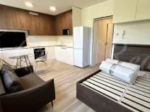 Pronájem bytu 1+kk, Brno - Štýřice, Sovinec, 30 m2