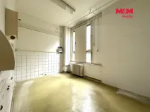 Prodej obchodního prostoru, Žatec, 900 m2