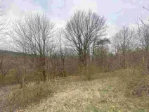 Prodej pozemku, Mírová pod Kozákovem - Vesec, 1000 m2