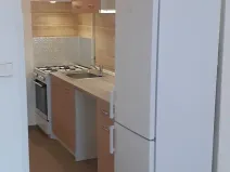 Pronájem bytu 1+kk, Praha - Karlín, 39 m2