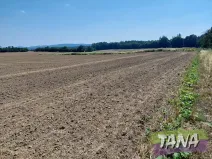 Prodej pole, Jenišovice, 4030 m2