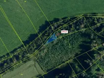 Dražba lesa, Březí nad Oslavou, 150 m2