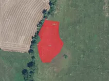 Prodej louky, Ohnišťany, 6850 m2
