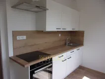 Pronájem bytu 2+1, Teplice, Stará Duchcovská, 53 m2