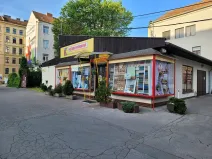 Pronájem obchodního prostoru, Brno, Příkop, 170 m2
