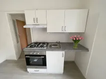 Pronájem bytu 1+1, Litvínov, Seifertova, 25 m2