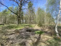 Prodej pozemku, Hranice, 1061 m2