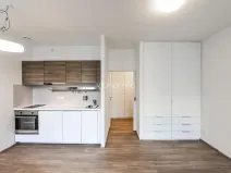 Pronájem bytu 1+kk, Praha - Vinohrady, Lucemburská, 30 m2