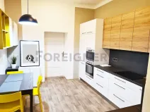 Pronájem bytu 1+1, Brno, Palackého třída, 36 m2