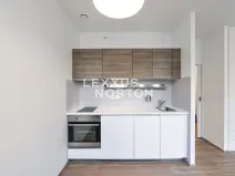 Pronájem bytu 1+kk, Praha - Vinohrady, Lucemburská, 30 m2