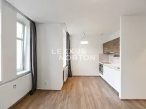 Pronájem bytu 1+kk, Praha - Vinohrady, Lucemburská, 30 m2