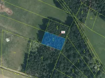 Dražba lesa, Zvěstov, 1092 m2