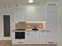 Prodej bytu 1+kk, Praha - Žižkov, Budovcova, 39 m2
