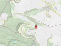 Prodej lesa, Plaveč, 1640 m2