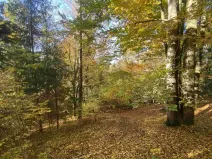 Dražba pozemku, Železný Brod, 2828 m2
